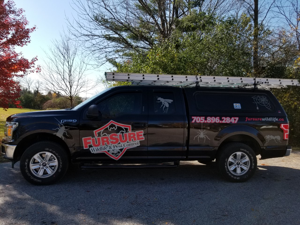 fursure wildlife and pest control 2