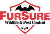 Pest Control| Pest Removal |Wildlife Removal | 705.896.2847
