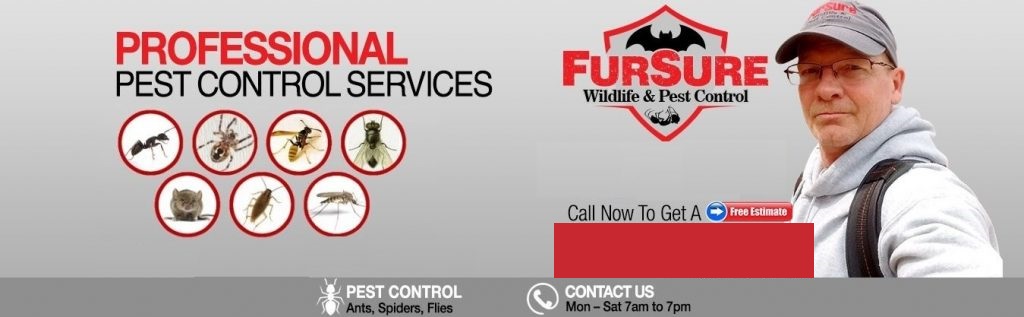 dan pest control fursure wildlife